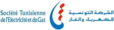logo_steg.png